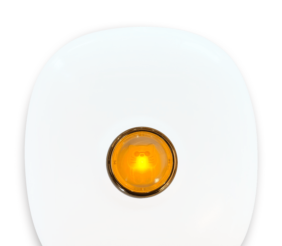 decorative light on vibration alarm