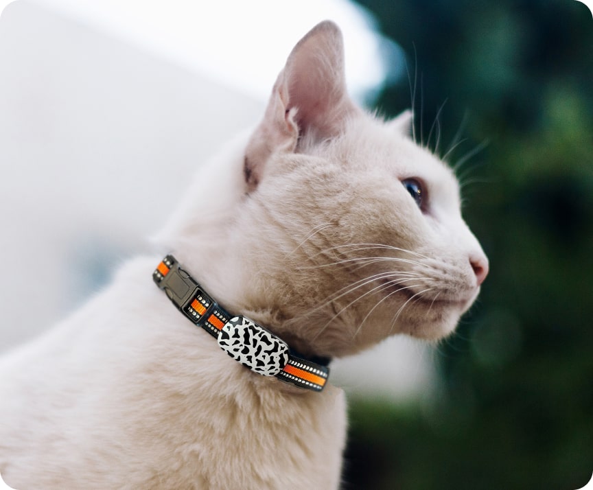 45 partten gps tracker betls for cats