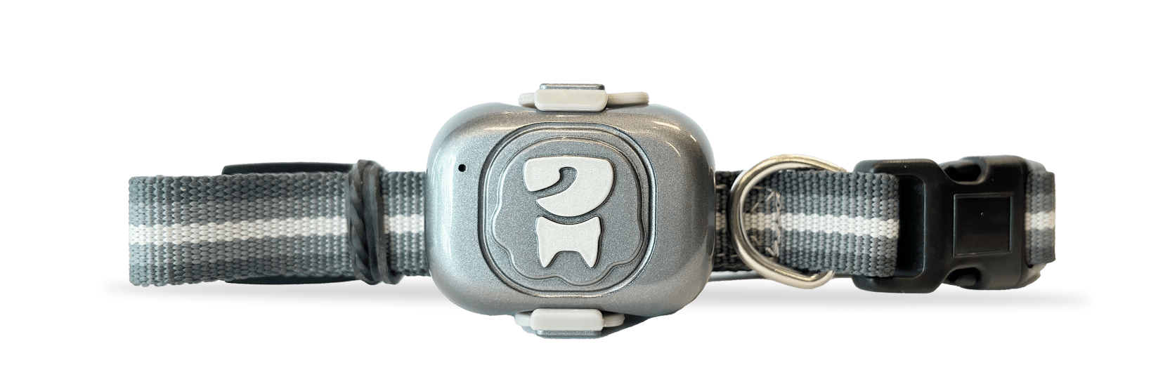 Metal pet tracker belt