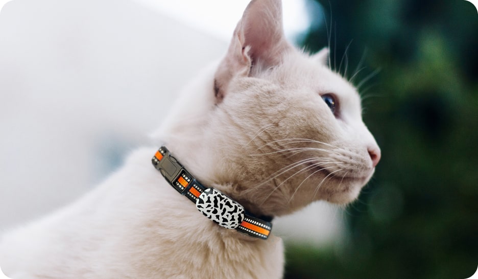 Smart Pet GPS Tracker G61 cat belt