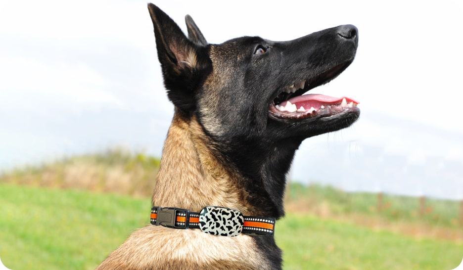 Smart Pet GPS Tracker G61 dog comfort belt