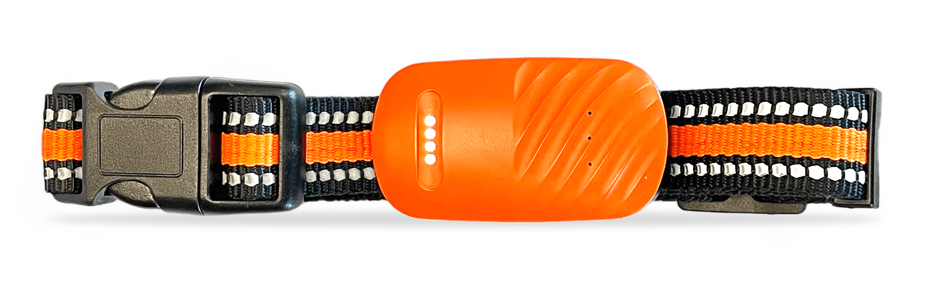 pet track belt