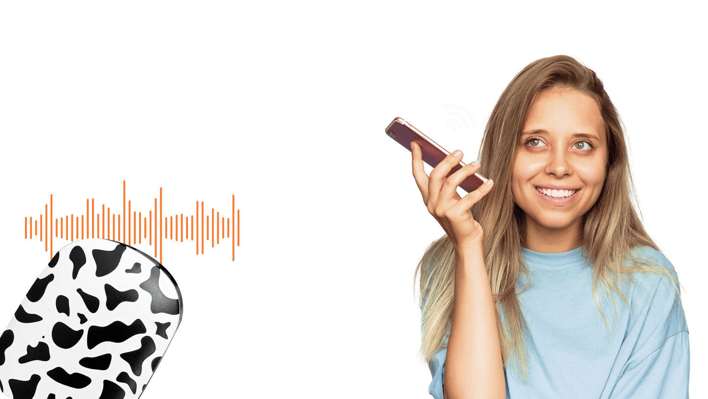 play your voice commands