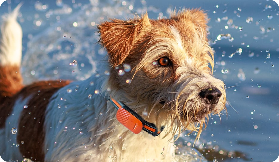 waterproof pet tracker