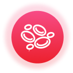 Qioob BP watch of Blood lipid measurement