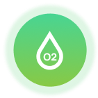 Qioob BP watch of Blood oxygen levels